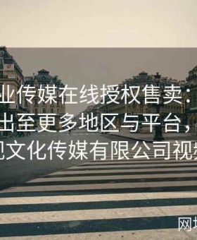 麻豆影业传媒在线授权售卖：将作品版权输出至更多地区与平台，麻豆影视文化传媒有限公司视频